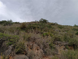 TOSAL DE LES COLMENES, POLIGONO 3;PRC13 2