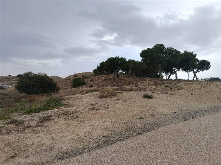 Polígono 9 Parcela 77 SECANET 2