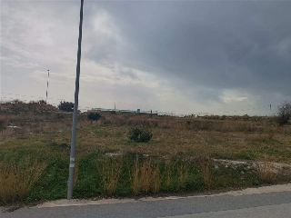 Polígono 9 Parcela 77 SECANET 4
