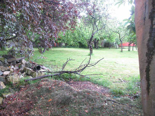 DE LA CORIA. PARC.122 - POL.102 7