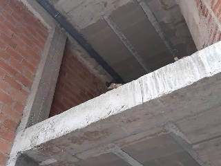 BARCELONA 7