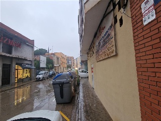 ORGANISTA COSCOLLANO 2