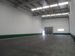 BORDEREA CRT 6
