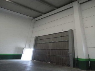 BORDEREA CRT 7