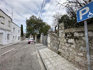 MONTE 3