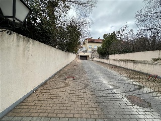 MONTE 5