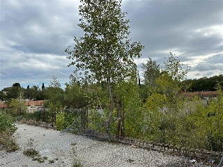 COMPOSITOR COLL 5