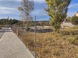 ESTATUT 5