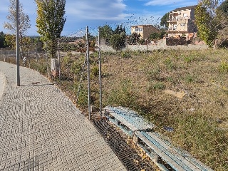 ESTATUT 7
