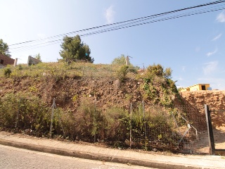BONAVISTA 7