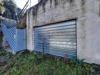COLL MONNER 7