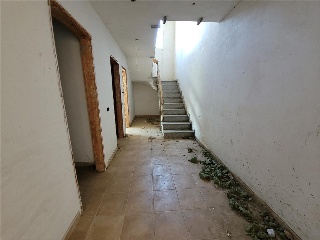 HORTÈNSIES 11