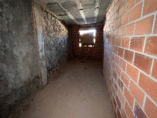 CAMINO REAL 7