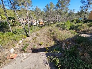 DEL COMETA 26
