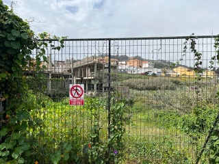 LA CRUZ CASCO 8