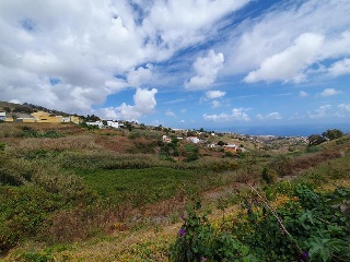 LA CRUZ CASCO 10