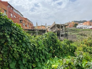 LA CRUZ CASCO 11