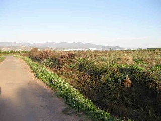 PARAJE RAFOL 4