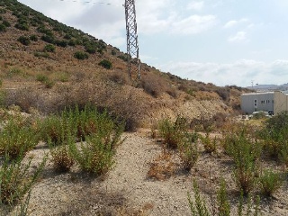 DE SAN FELIX LA ASOMADA, LA ASOMADA 3