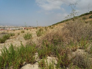 DE SAN FELIX LA ASOMADA, LA ASOMADA 7