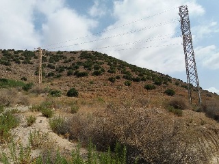 DE SAN FELIX LA ASOMADA, LA ASOMADA 8