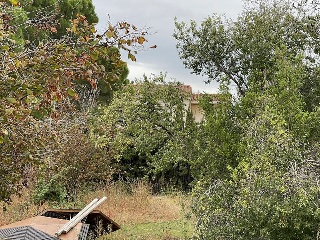 31, Parcela 25 2