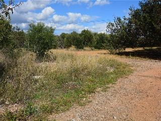 31, Parcela 25 5