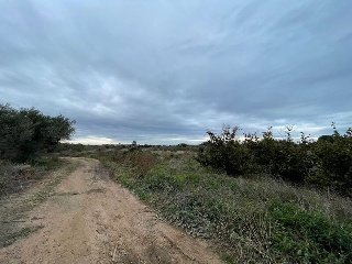 31, Parcela 25 7