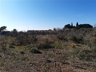 31, Parcela 25 8