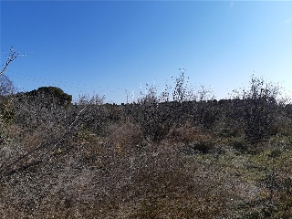 31, Parcela 25 9