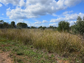 31, Parcela 25 10