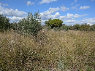 31, Parcela 25 11