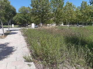 S GREGORI-DOMENY 3