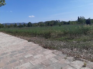S GREGORI-DOMENY 5