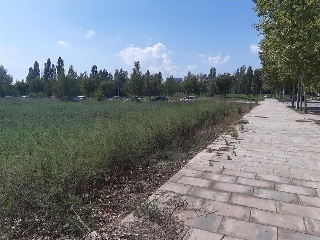 S GREGORI-DOMENY 6