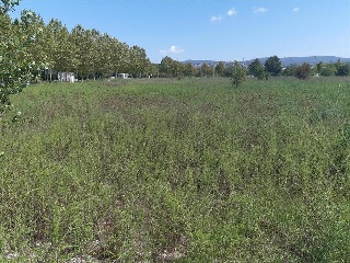 S GREGORI-DOMENY 7