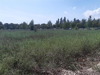 S GREGORI-DOMENY 8