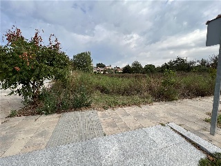 S GREGORI-DOMENY 14