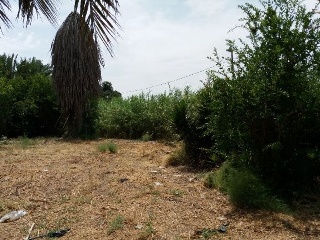 HACIENDA AZACAYA 2