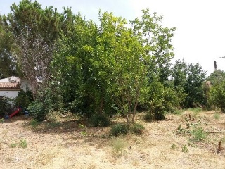 HACIENDA AZACAYA 6