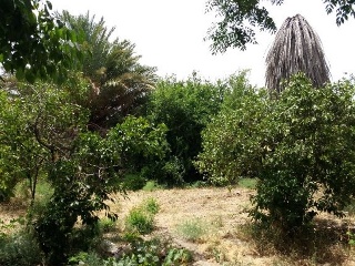 HACIENDA AZACAYA 8
