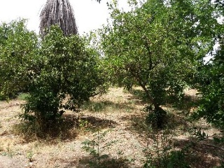 HACIENDA AZACAYA 9