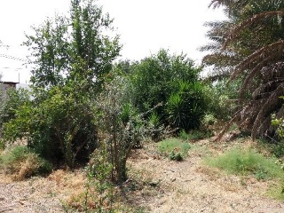 HACIENDA AZACAYA 10