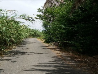 HACIENDA AZACAYA 11