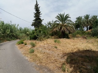 HACIENDA AZACAYA 12