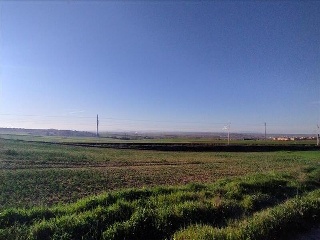 EL PILAR 5