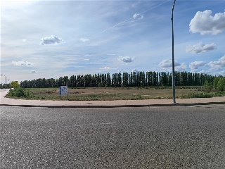 PARAJE CAMINO BODEGAS Y PAGO DEL TELEGRAFO SECTOR 5