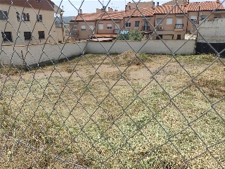 DOMINGO HUARTE 3