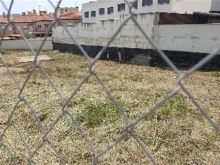 DOMINGO HUARTE 4