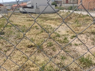 DOMINGO HUARTE 5